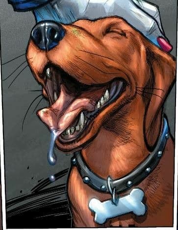 Nathan the Dachshund